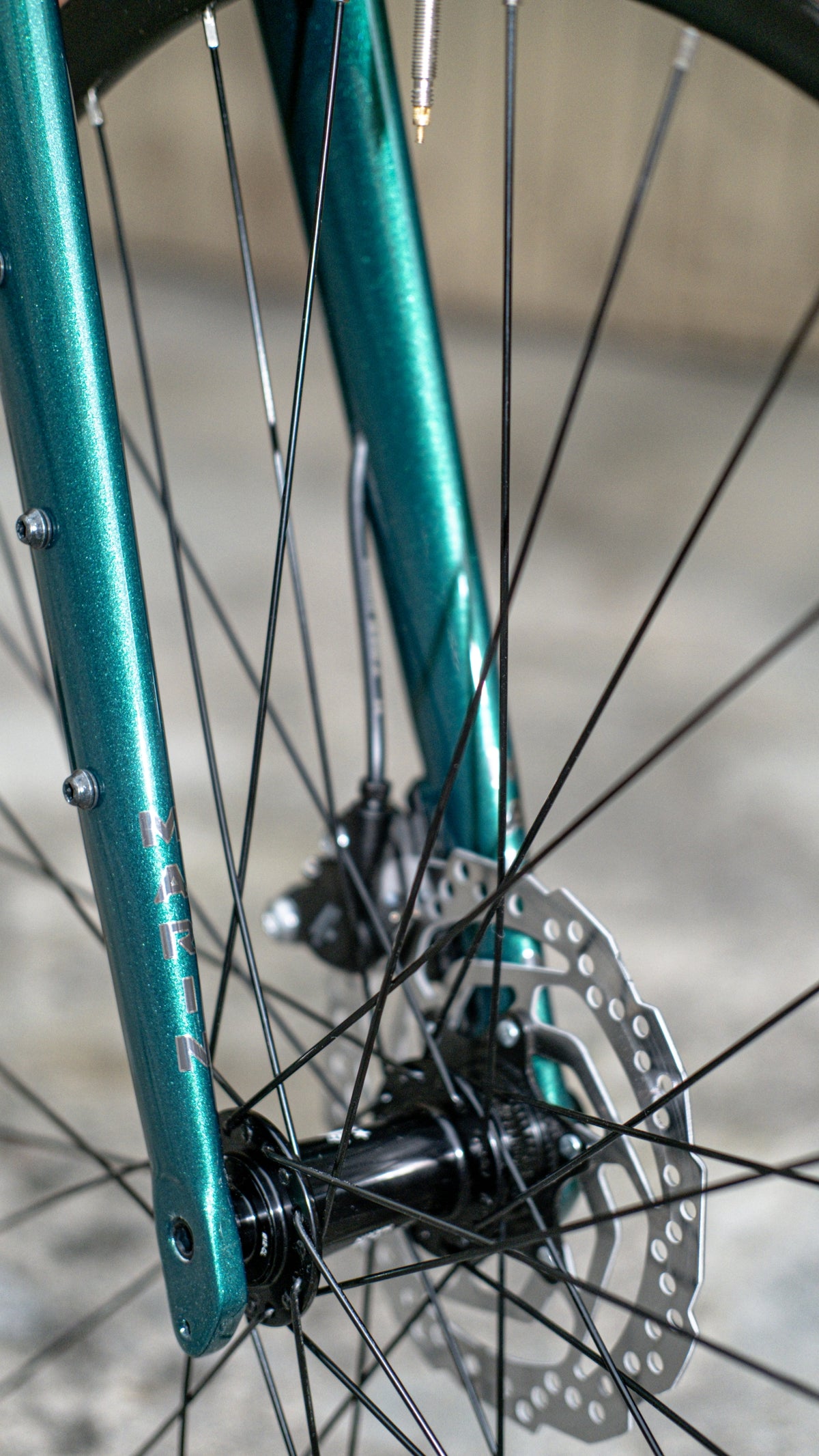 Marin Nicasio2, Shimano GRX - Grün