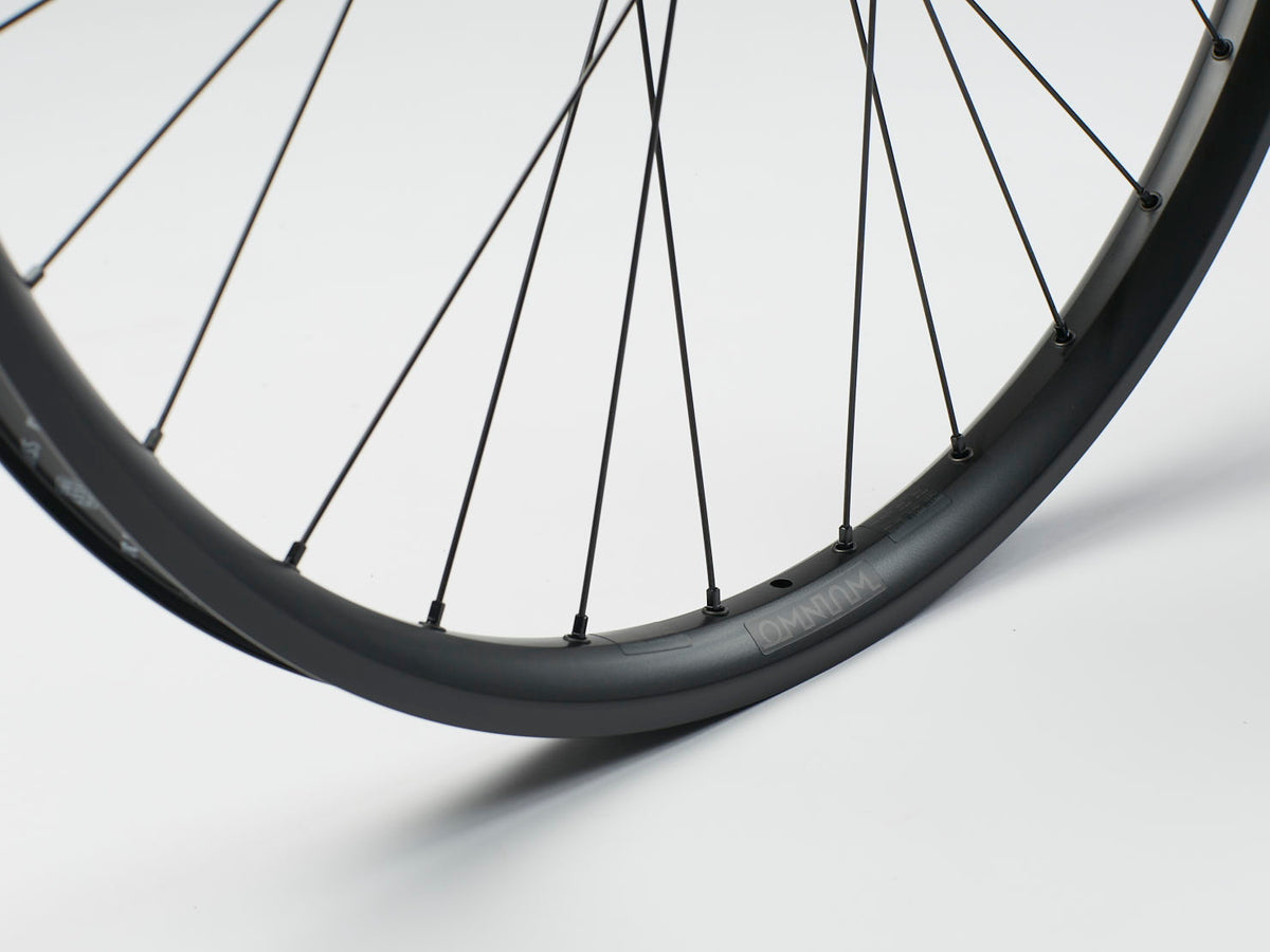 Omnium Cargo Dynamo Laufradsatz by DT-Swiss