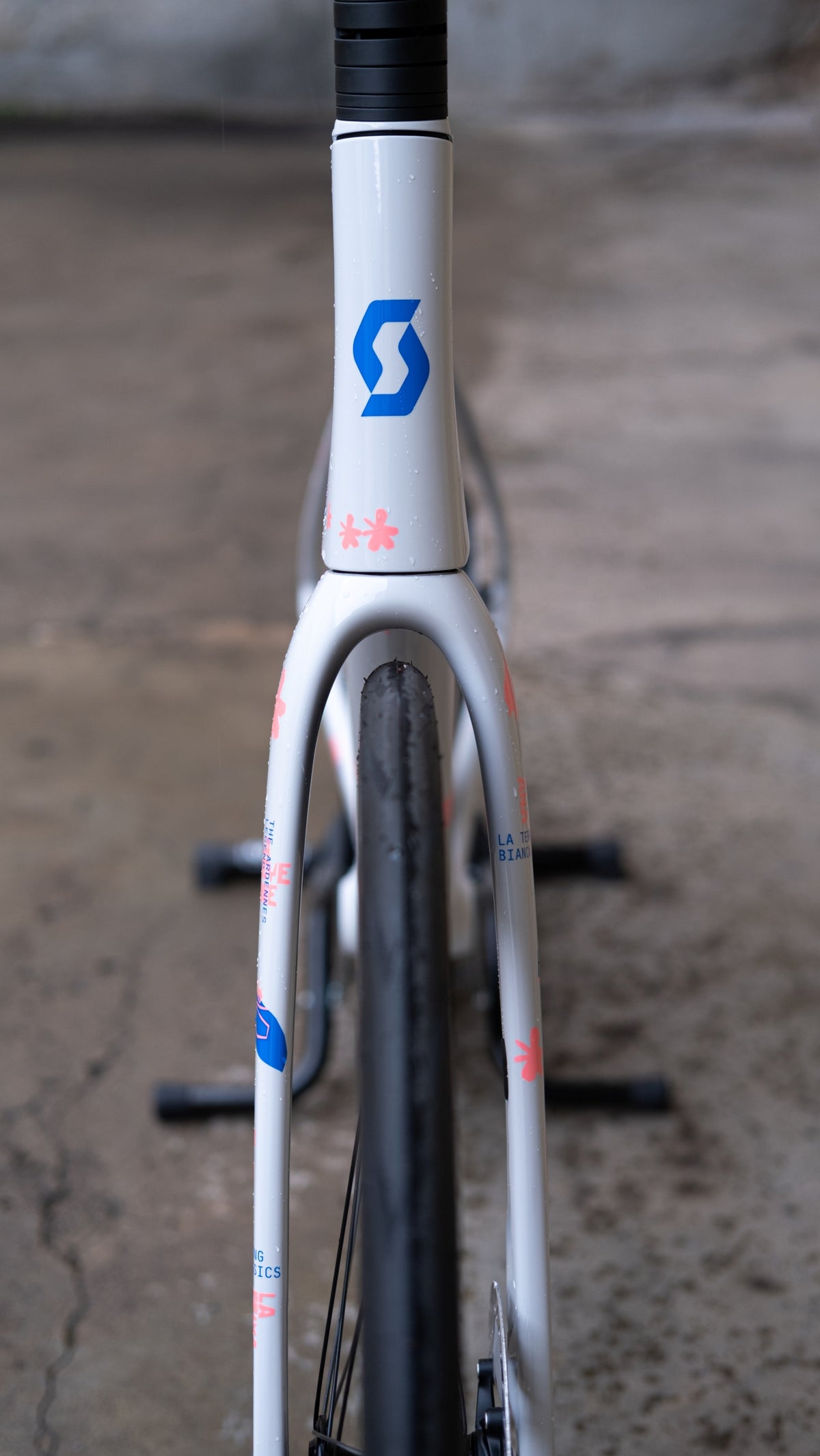 Scott Addict RC Pro HMX Carbon Rahmen-Set - Beluga Grey