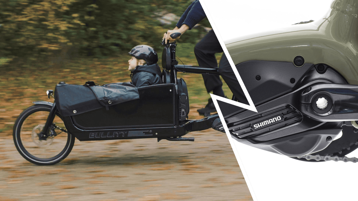 Larry vs Harry STePS eBullitt e6100 Shimano XT Di2 - Lastenrad / CLASSIC