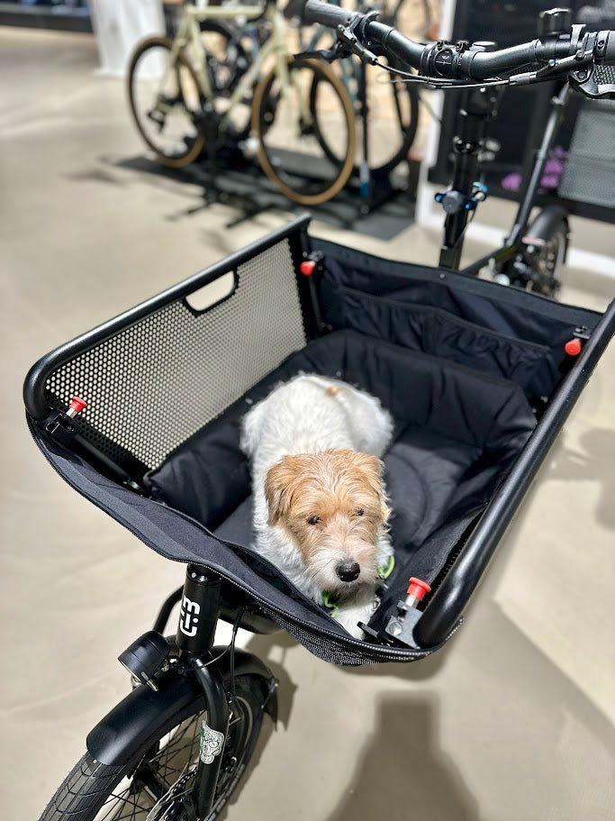 muli cycles dog cushion including fastening material