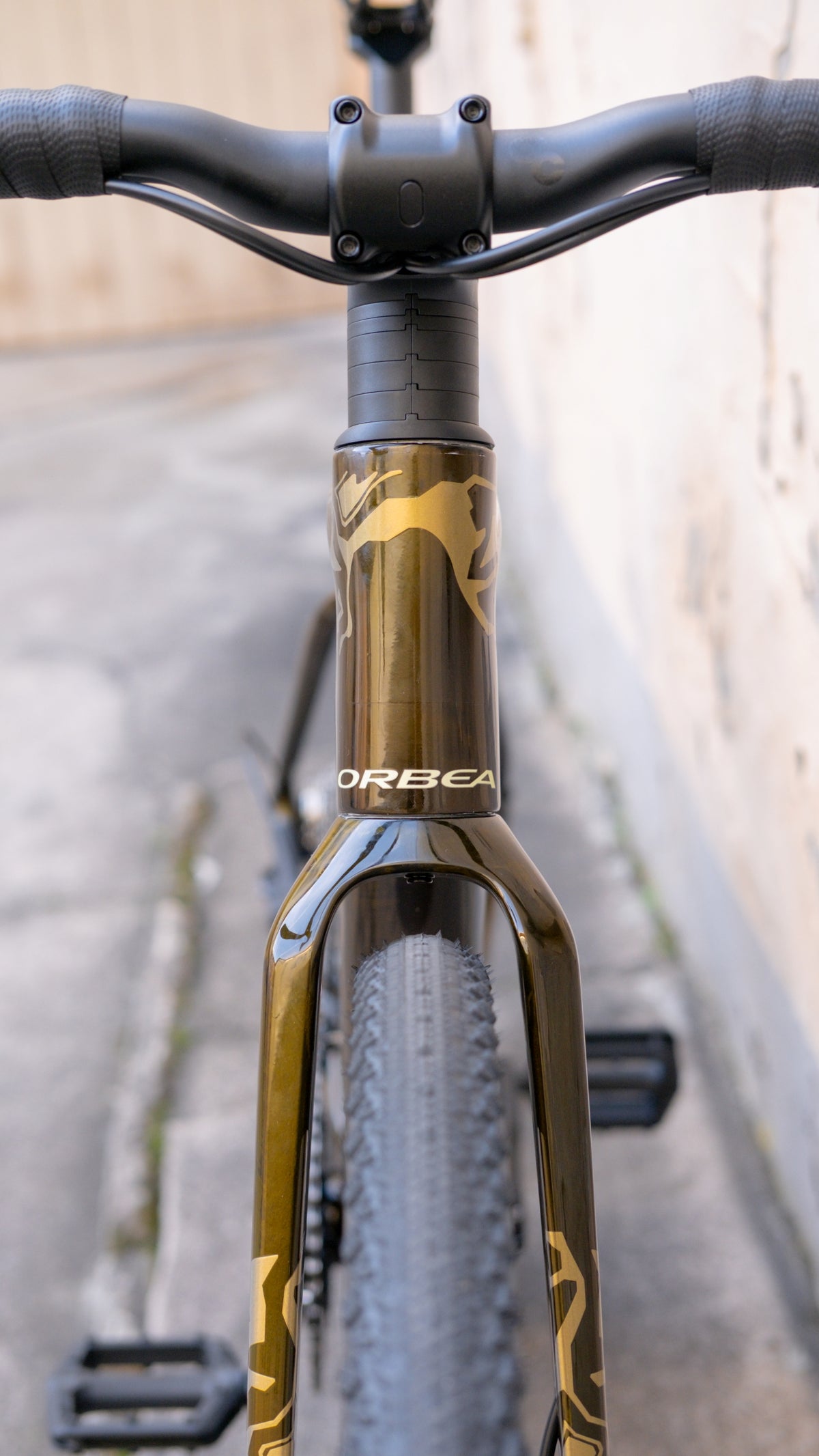 Orbea Terra ADV M31eTeam (2026), 1x, Caramel Carbon View