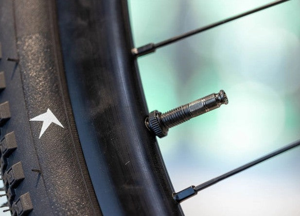Schwalbe Clik Valve, Conversion Kit SV to SCV