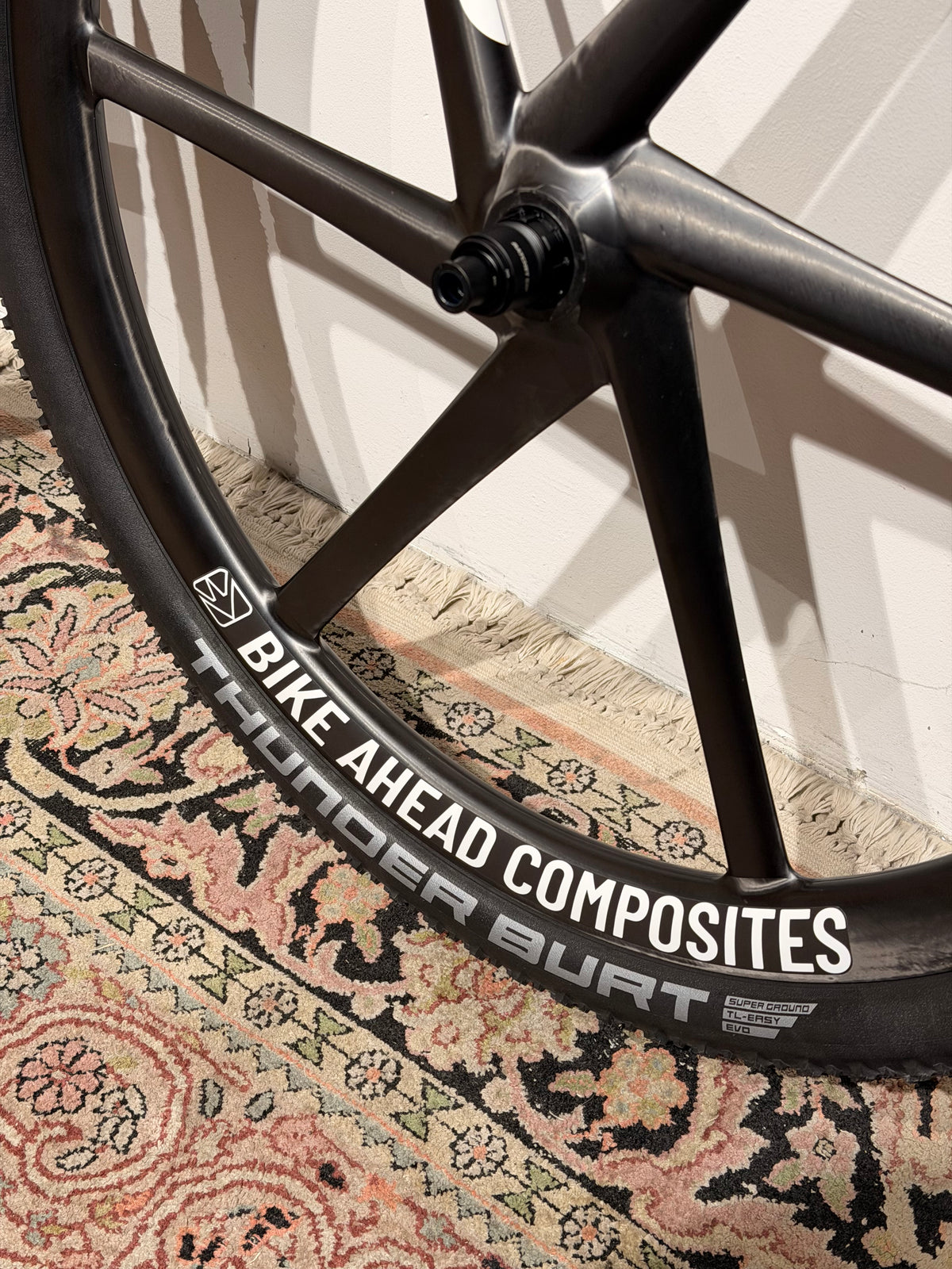 Bike Ahead Composites BITURBO GRAVEL AERO, Carbon 6-Speichen Laufräder